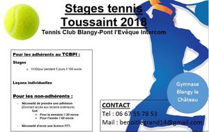 Stages vacances de Toussaint 2018 au TCBPI